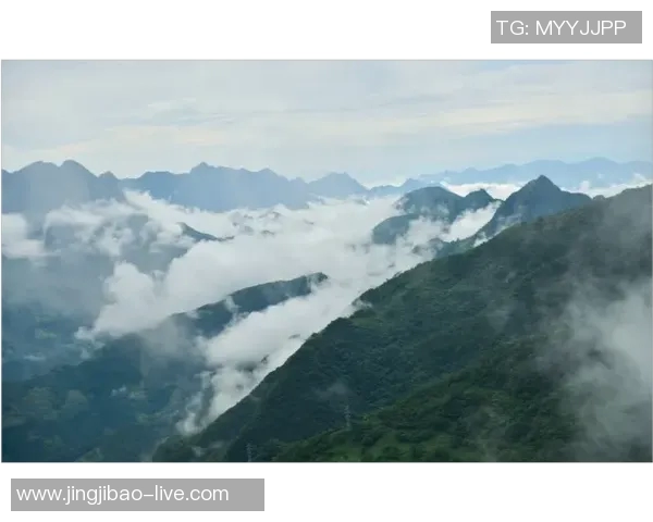 探索台北姚明山的自然风光与人文魅力,感受山野间的宁静与和谐 探索台北姚明山的自然风光与人文魅力,感受山野间的宁静与和谐