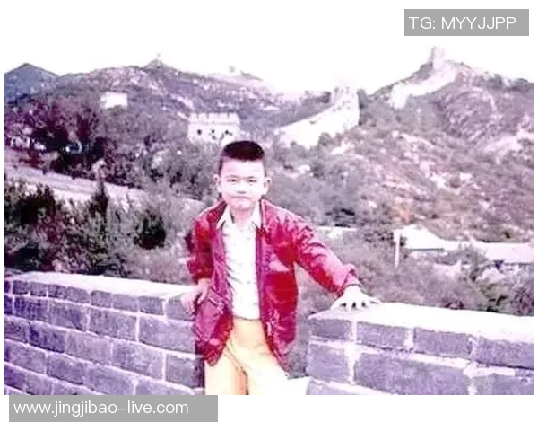 姚明的篮球梦想与成长历程小学生眼中的伟大运动员故事